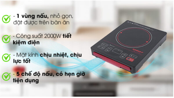 Bếp hồng ngoại Sanaky SNK-2101HG