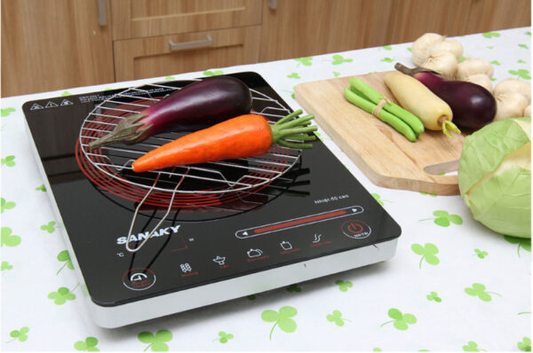 Bếp hồng ngoại Sanaky SNK2102HG