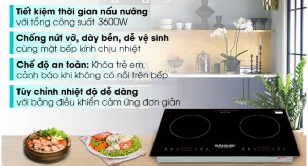 Bếp từ đôi lắp âm Sunhouse SHB9101