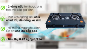 Bếp ga đôi Sakura SA-692SG