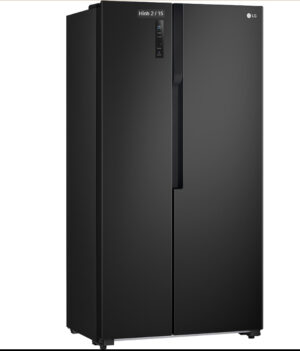 Tủ lạnh LG Inverter 519 lít GR-B256BL