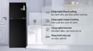 Tủ lạnh LG Inverter 315 Lít GN-M312BL