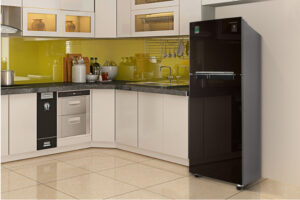 Tủ lạnh Samsung Inverter 236 lít RT22M4032BY/SV