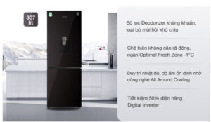 Tủ lạnh Samsung Inverter 307 lít RB30N4190BY/SV