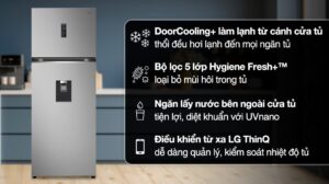 Tủ lạnh LG Inverter 459 lít LTD46SVMA