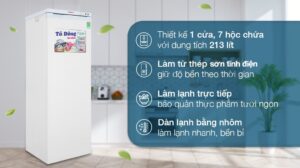 Tủ đông Sanaky 213 lít TD.VH230VD