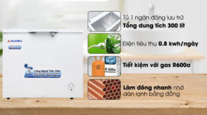 Tủ đông Alaska 300 lít BD-300