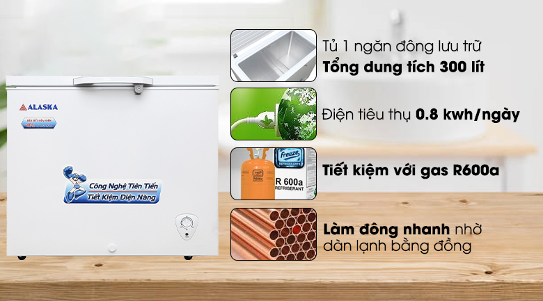 Tủ đông Alaska 300 lít BD-300