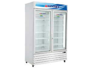 Tủ đông đứng 2 cánh Alaska IF-700G2 700 lít