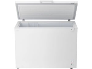 Tủ đông LG Inverter C30WH - 291 lít