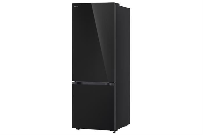 Tủ lạnh LG Inverter 335 lít LBB33BLGA - Ảnh 3